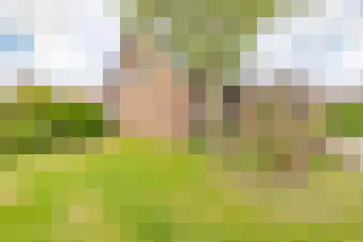 Kleine Houtweg 60 Heemskerk thumbnail 60