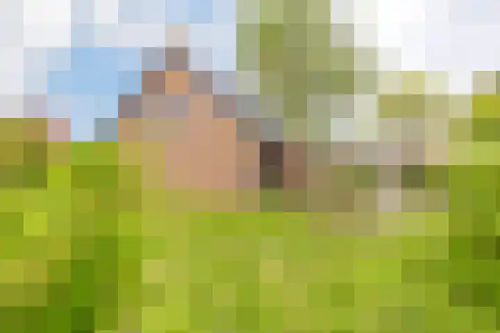 Kleine Houtweg 60 Heemskerk thumbnail 61