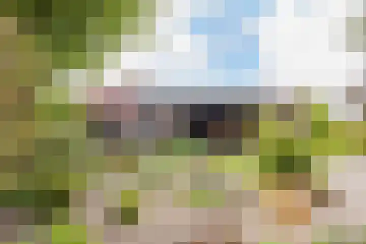 Kleine Houtweg 60 Heemskerk thumbnail 64
