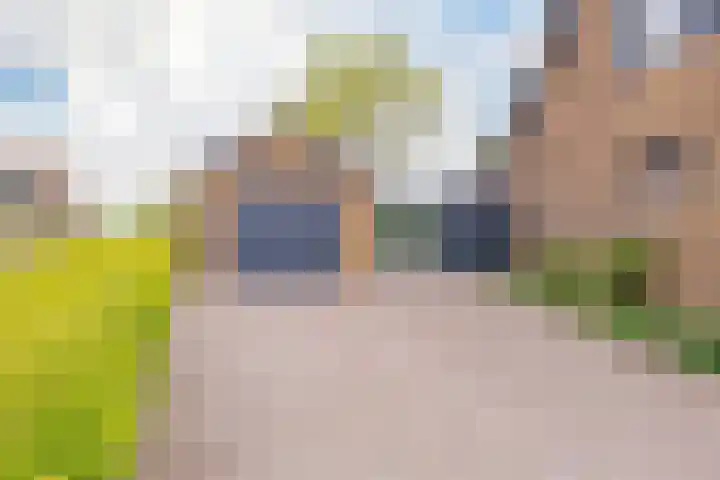 Kleine Houtweg 60 Heemskerk thumbnail 66