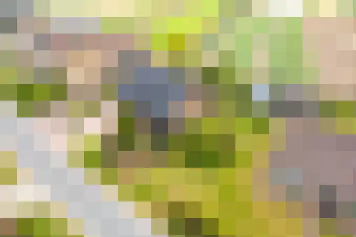 Kleine Houtweg 60 Heemskerk thumbnail 68