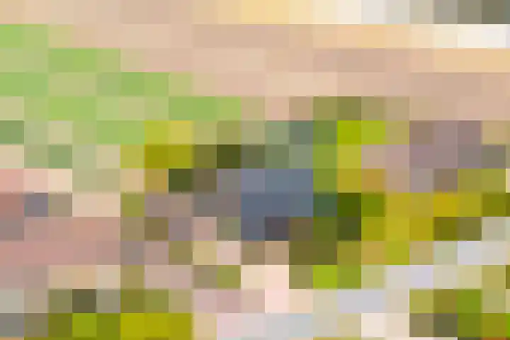 Kleine Houtweg 60 Heemskerk thumbnail 69