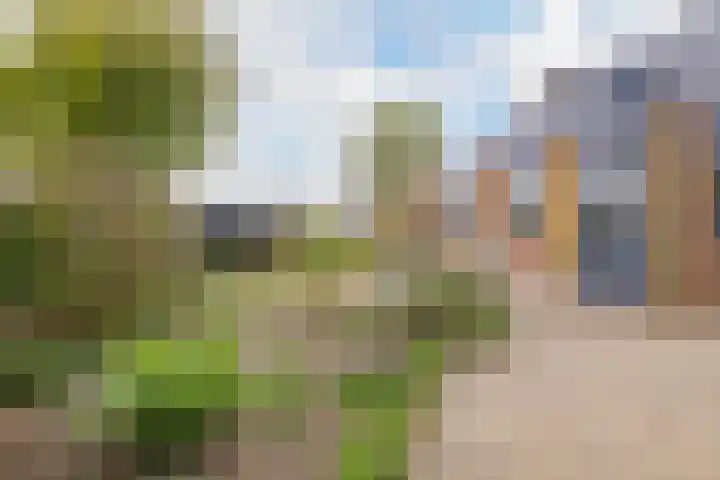 Kleine Houtweg 60 Heemskerk thumbnail 7