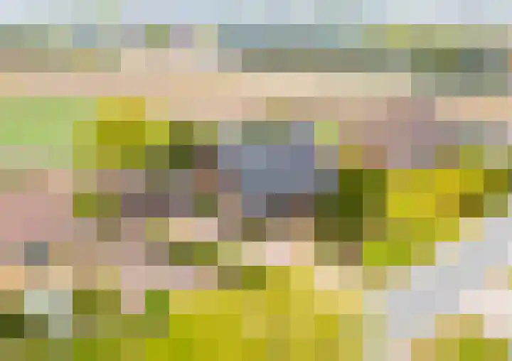 Kleine Houtweg 60 Heemskerk thumbnail 71