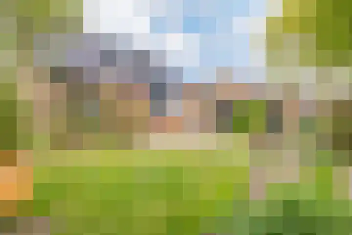 Kleine Houtweg 60 Heemskerk thumbnail 8