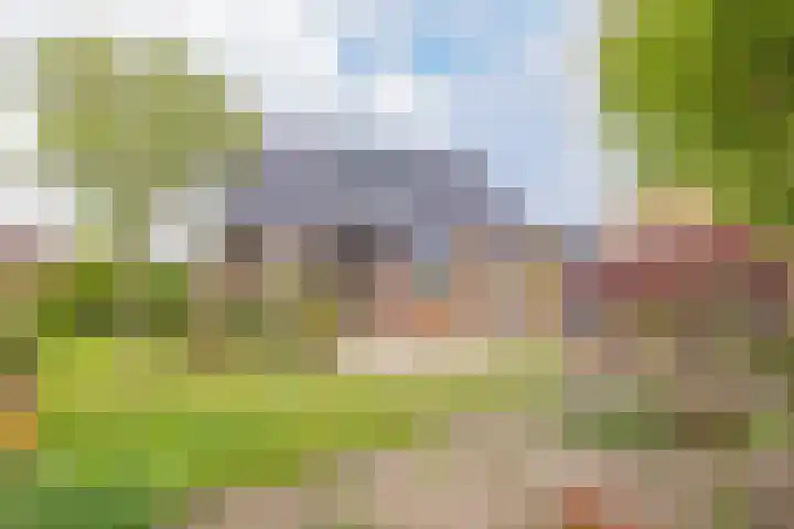 Kleine Houtweg 60 Heemskerk thumbnail 9