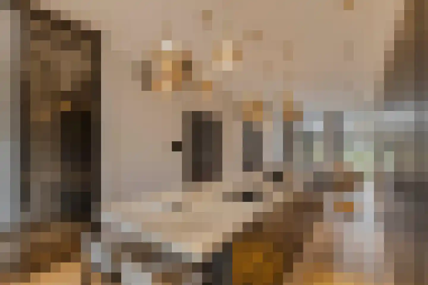 Kleine Houtweg 69 Haarlem thumbnail 10