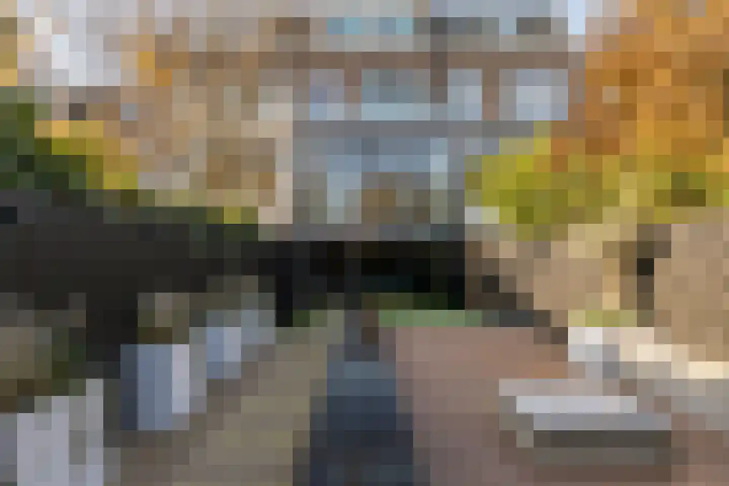Kleine Houtweg 69 Haarlem thumbnail 16