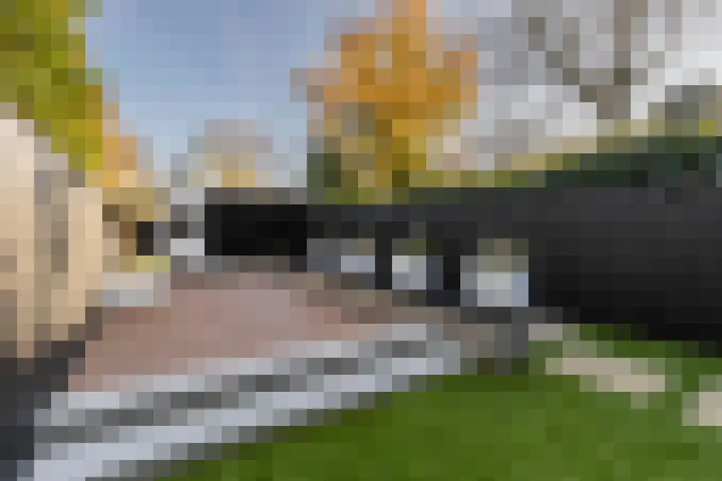 Kleine Houtweg 69 Haarlem thumbnail 17