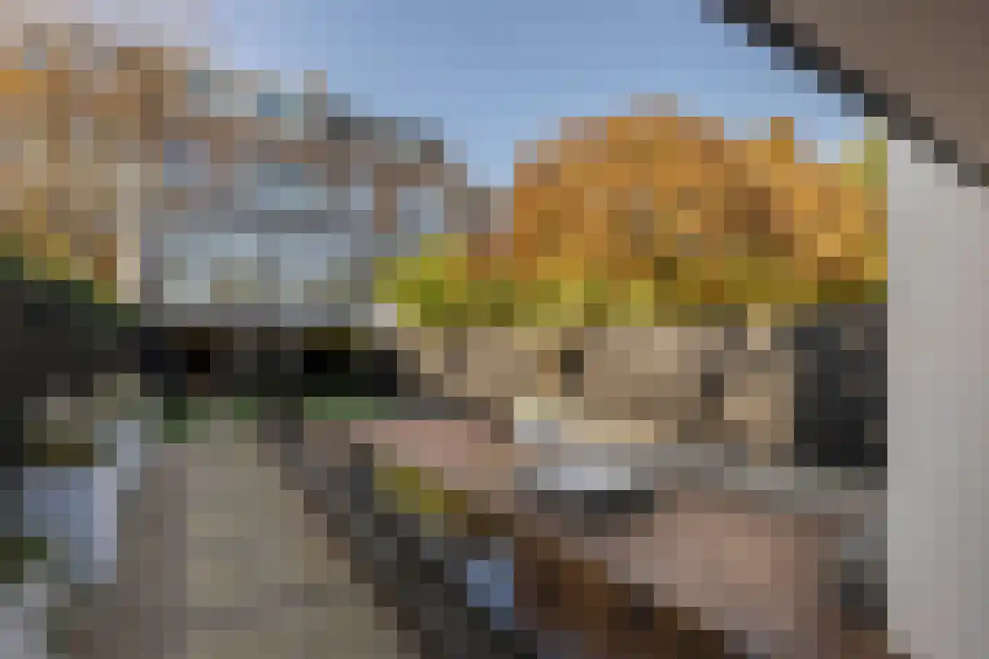 Kleine Houtweg 69 Haarlem thumbnail 21