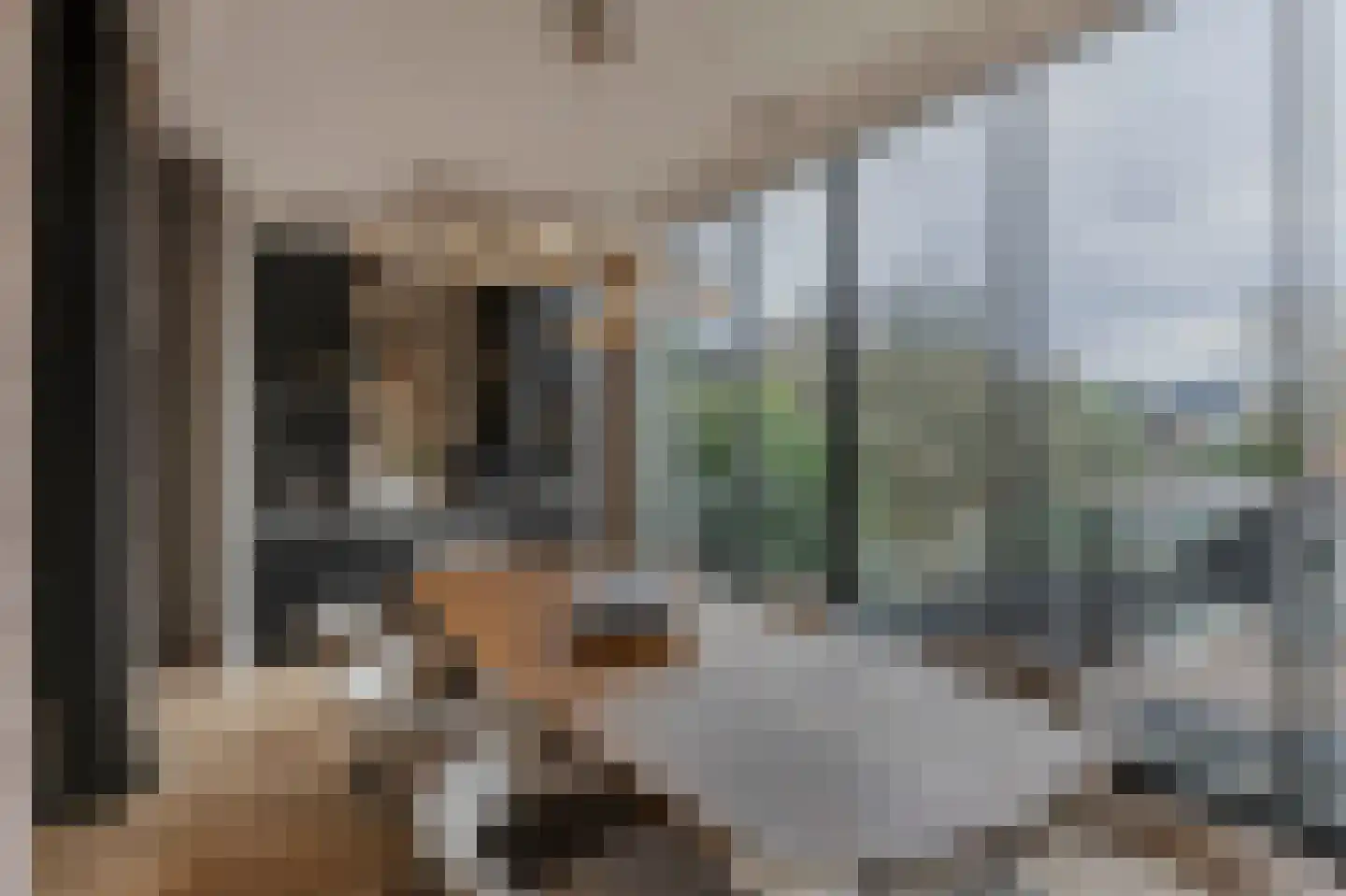 Kleine Houtweg 69 Haarlem thumbnail 4