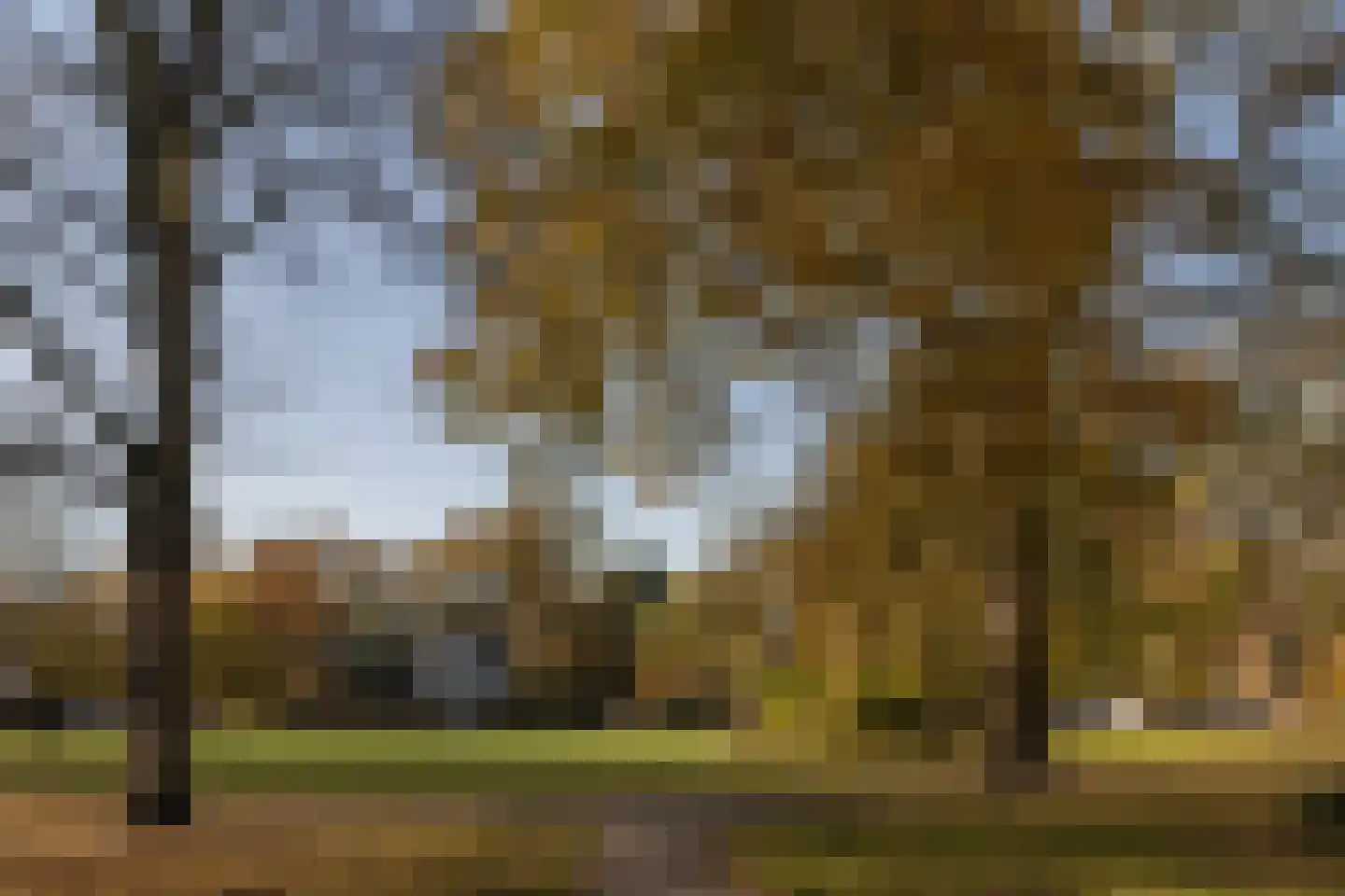 Kleine Houtweg 69 Haarlem thumbnail 5
