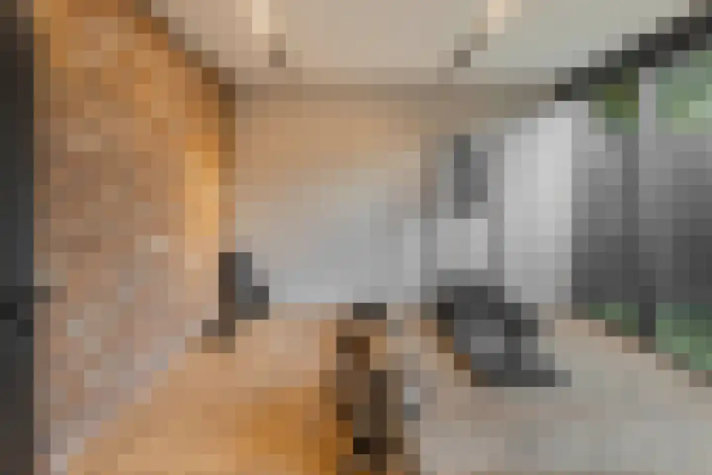 Kleine Houtweg 69 Haarlem thumbnail 51