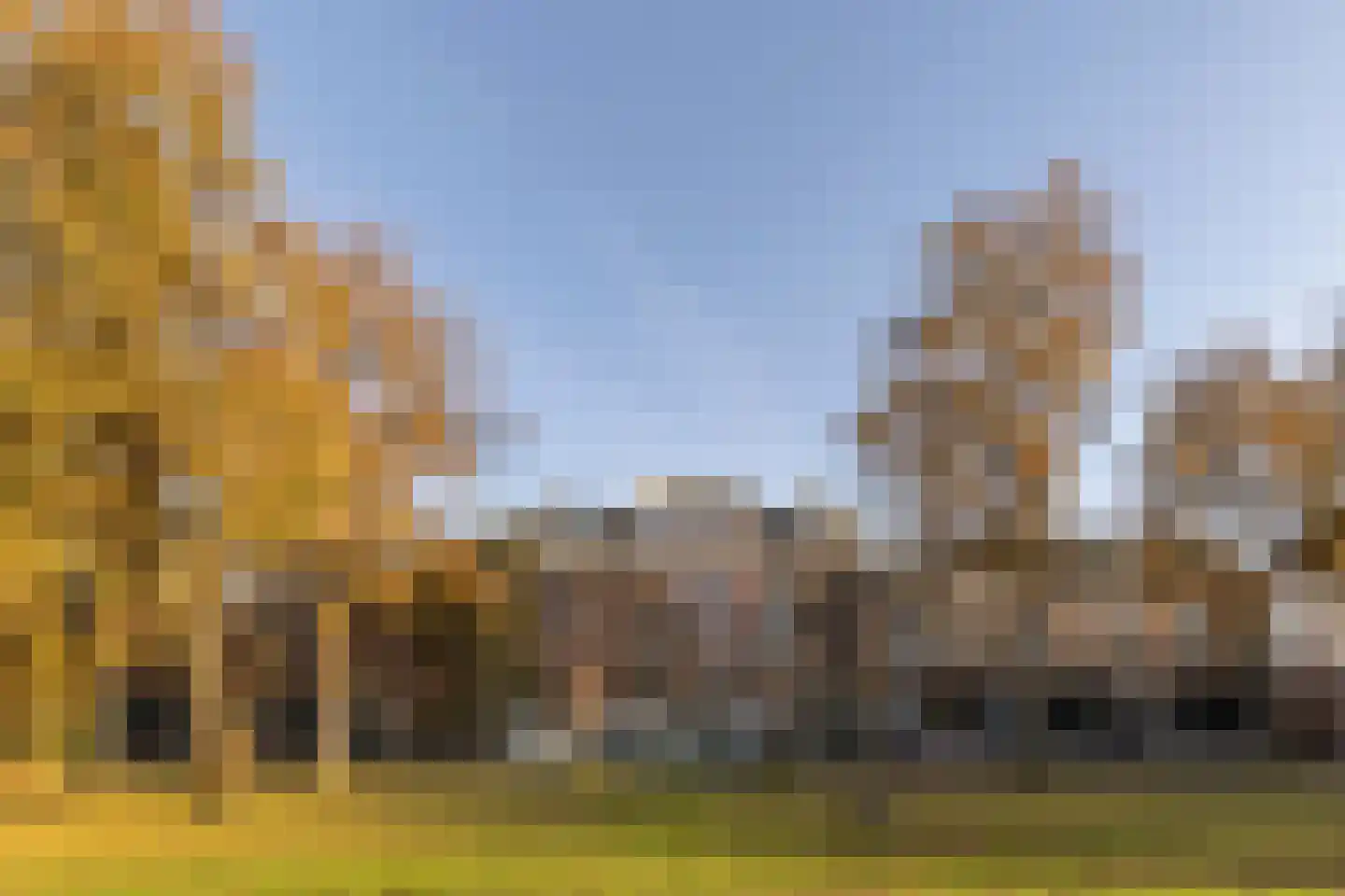 Kleine Houtweg 69 Haarlem thumbnail 52