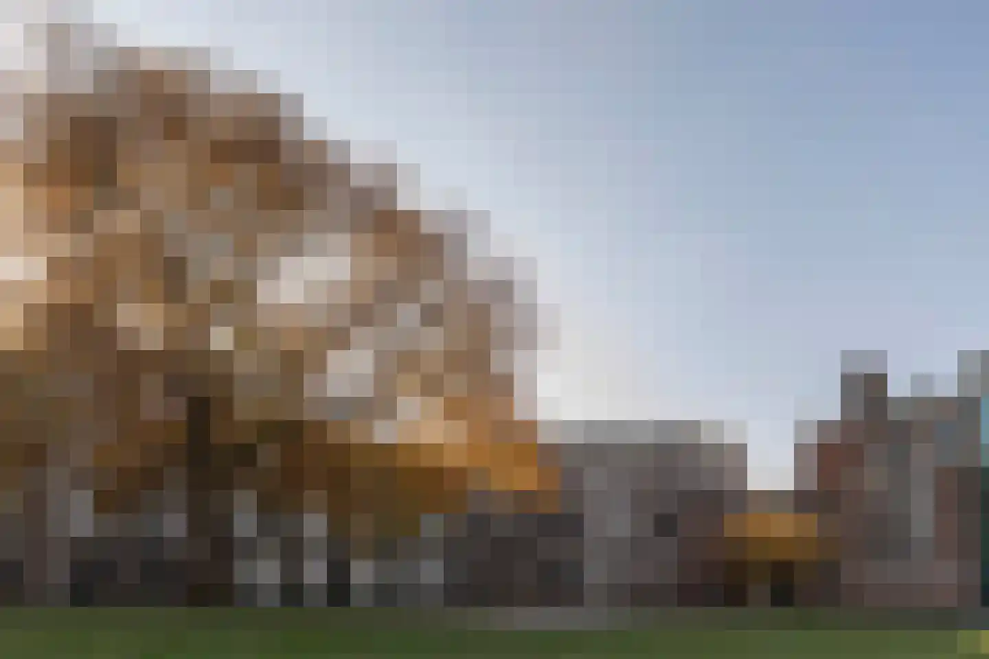 Kleine Houtweg 69 Haarlem thumbnail 54