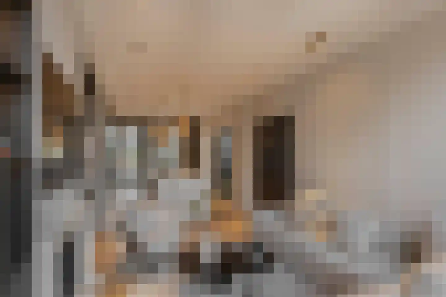 Kleine Houtweg 69 Haarlem thumbnail 7