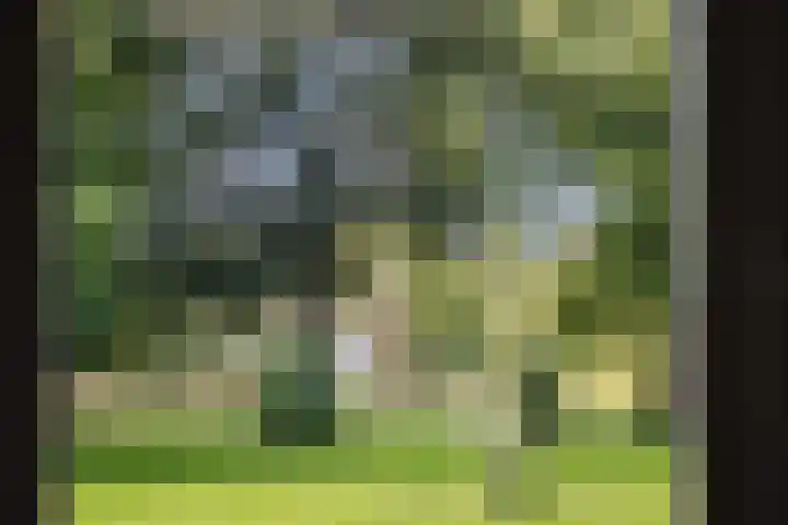 Kleine Houtweg 71 Haarlem thumbnail 13