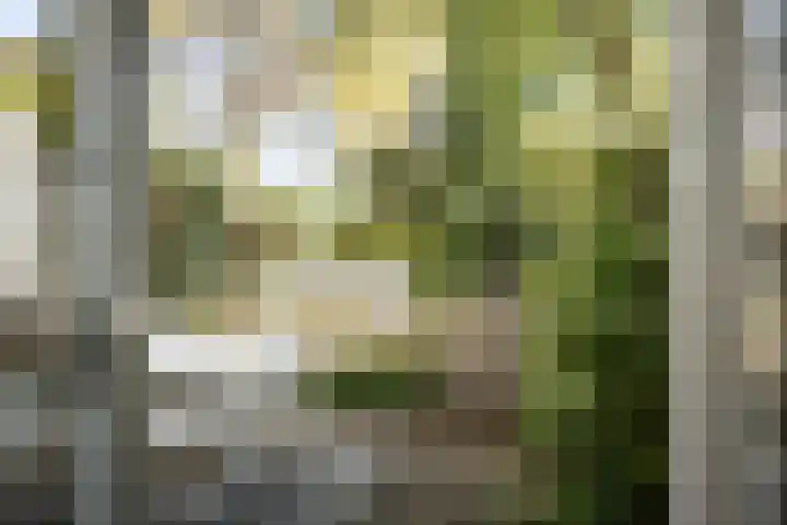 Kleine Houtweg 71 Haarlem thumbnail 17