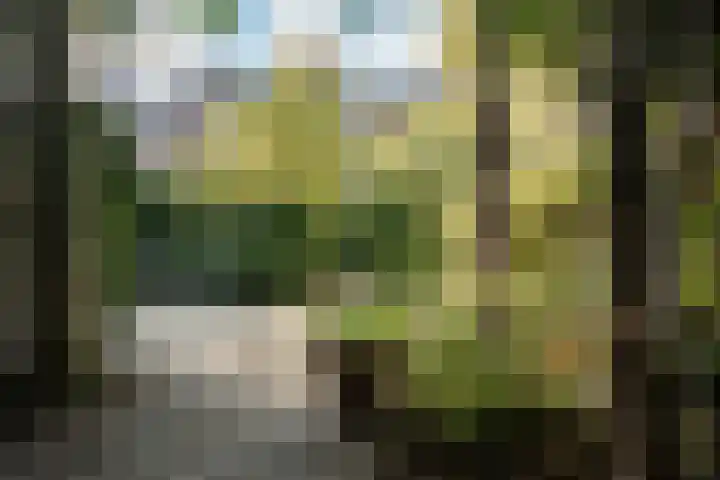 Kleine Houtweg 71 Haarlem thumbnail 21