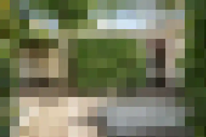 Kleine Houtweg 71 Haarlem thumbnail 22