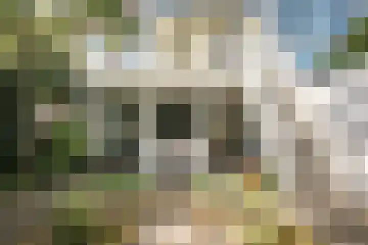 Kleine Houtweg 71 Haarlem thumbnail 27