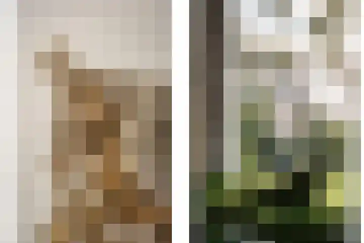 Kleine Houtweg 71 Haarlem thumbnail 43