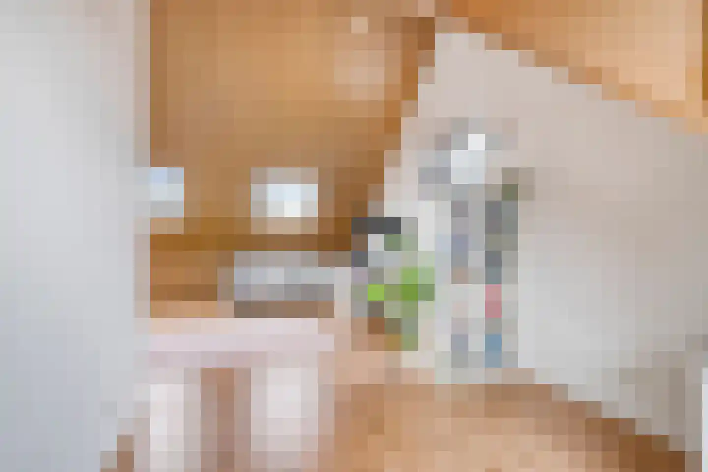 Kleine Huiswei 12 Teteringen thumbnail 42