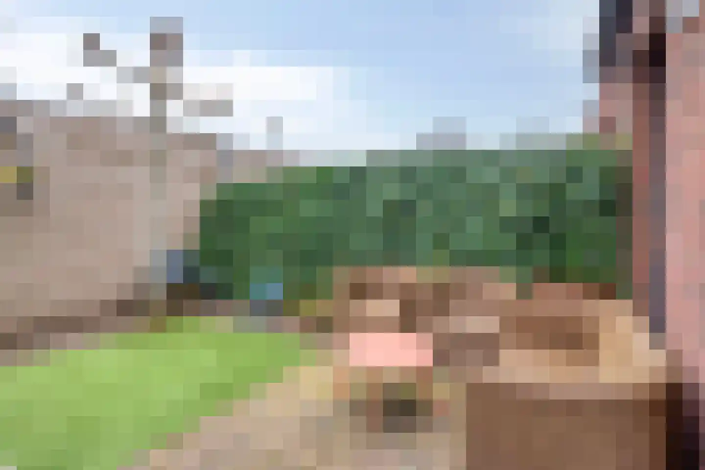 Kleine Huiswei 12 Teteringen thumbnail 49