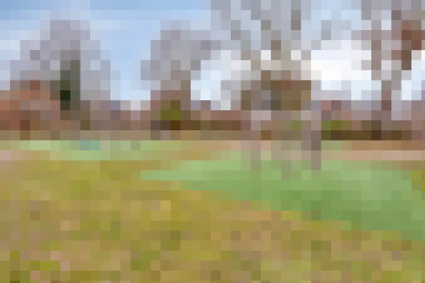Kleine Huiswei 12 Teteringen thumbnail 56