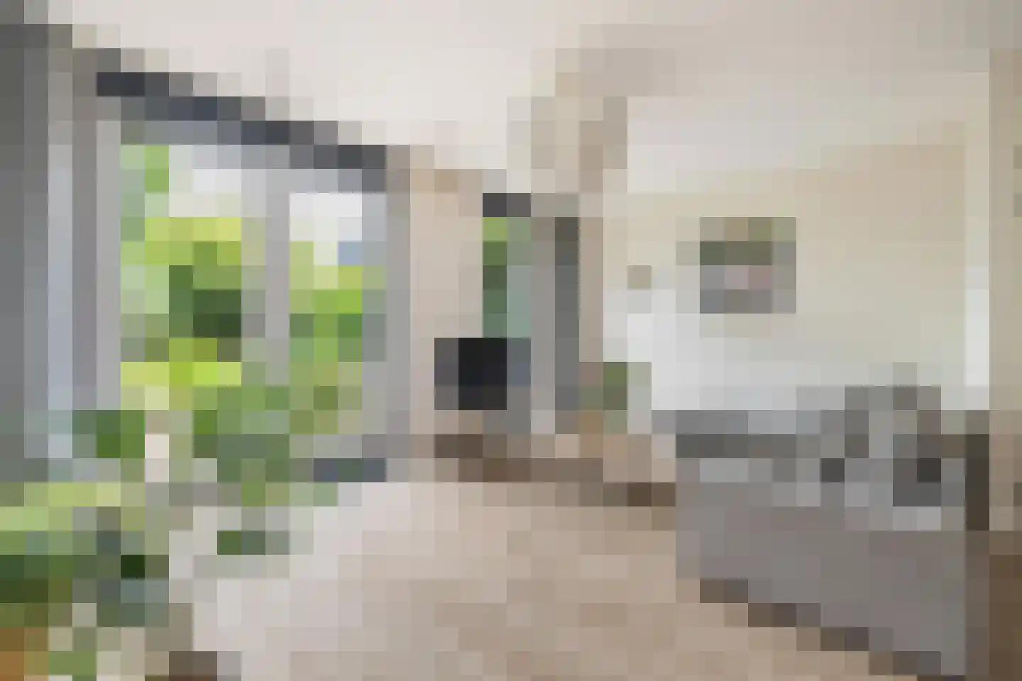 Kleine Huiswei 9 Teteringen thumbnail 10