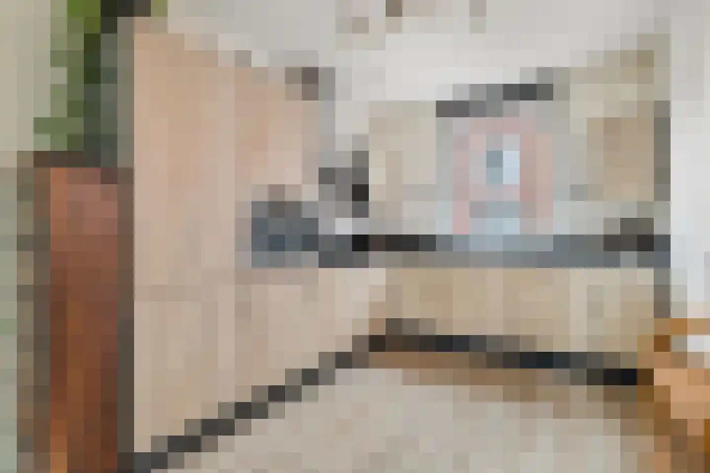 Kleine Huiswei 9 Teteringen thumbnail 16
