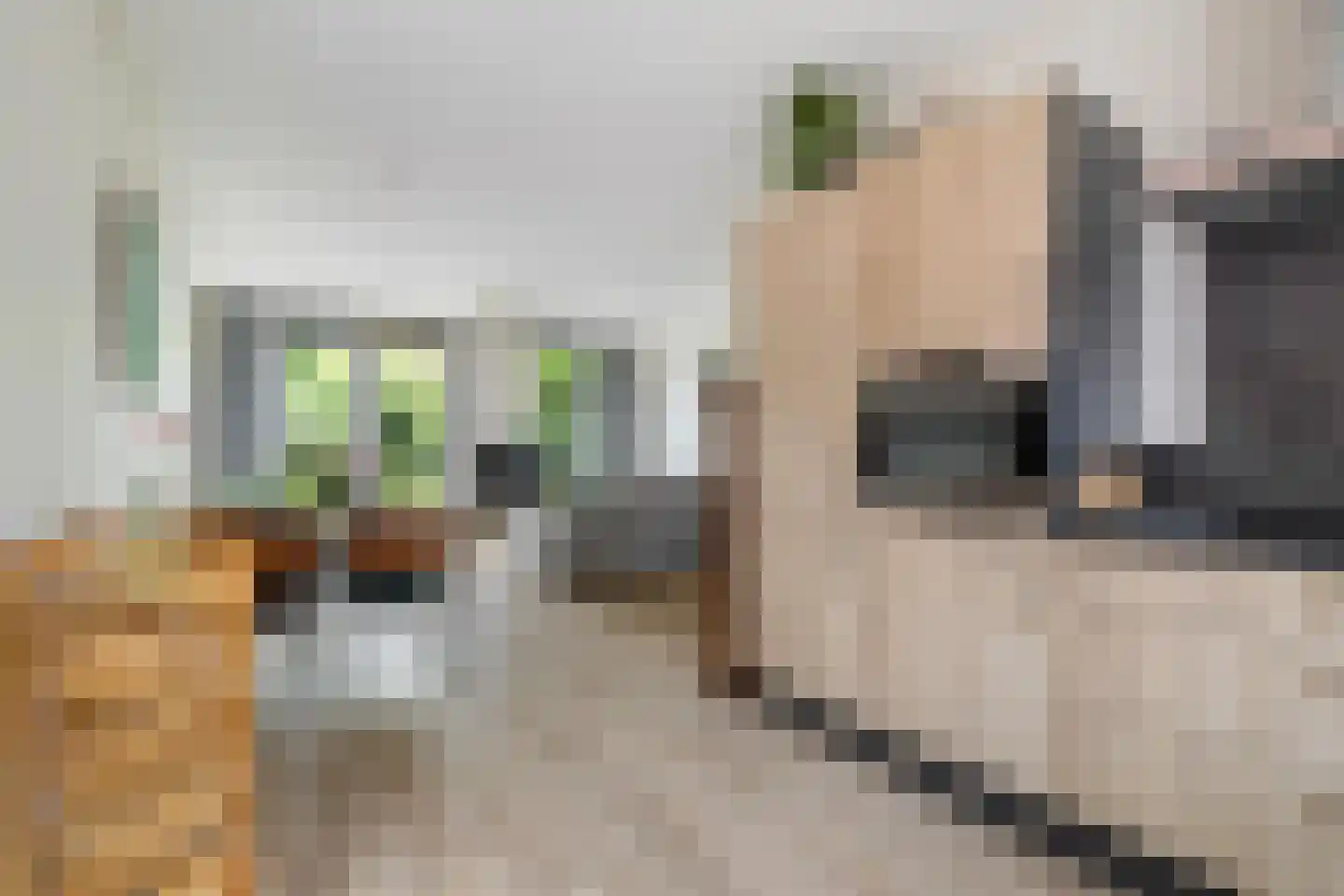 Kleine Huiswei 9 Teteringen thumbnail 17