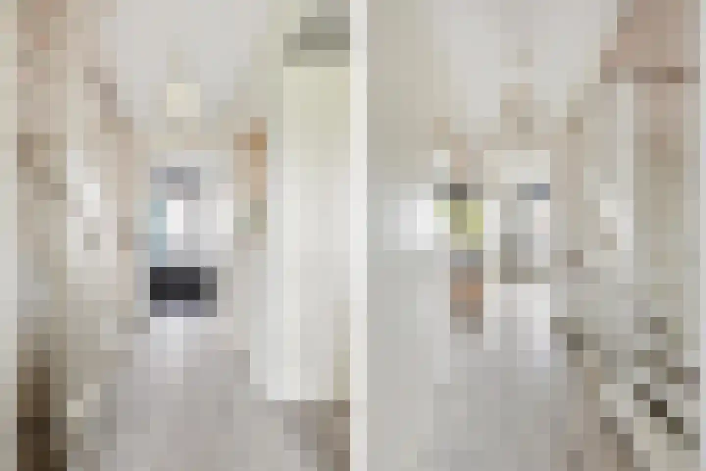 Kleine Huiswei 9 Teteringen thumbnail 20