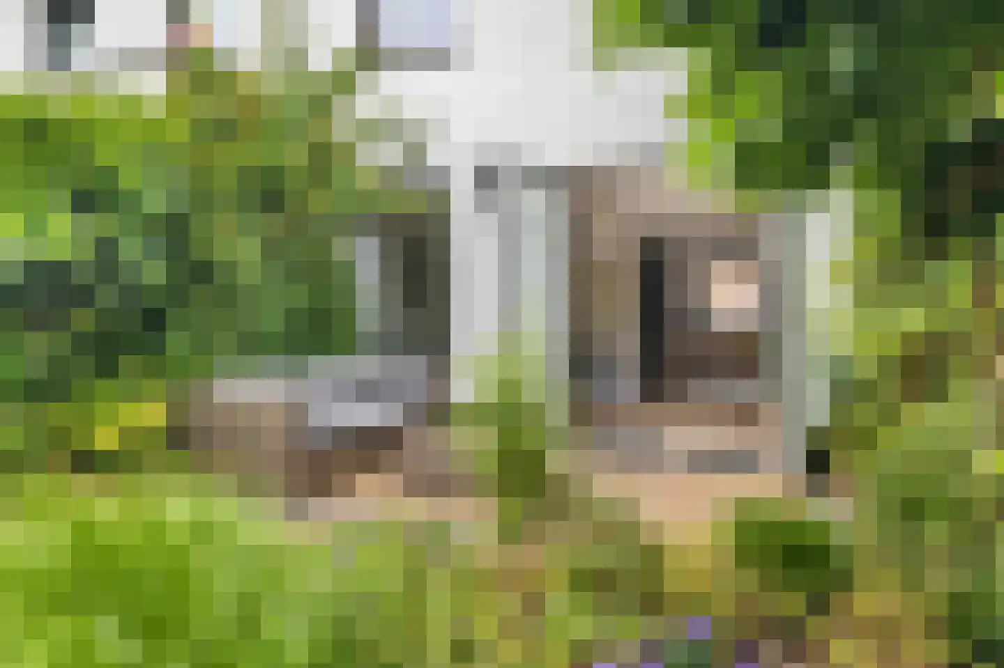 Kleine Huiswei 9 Teteringen thumbnail 36