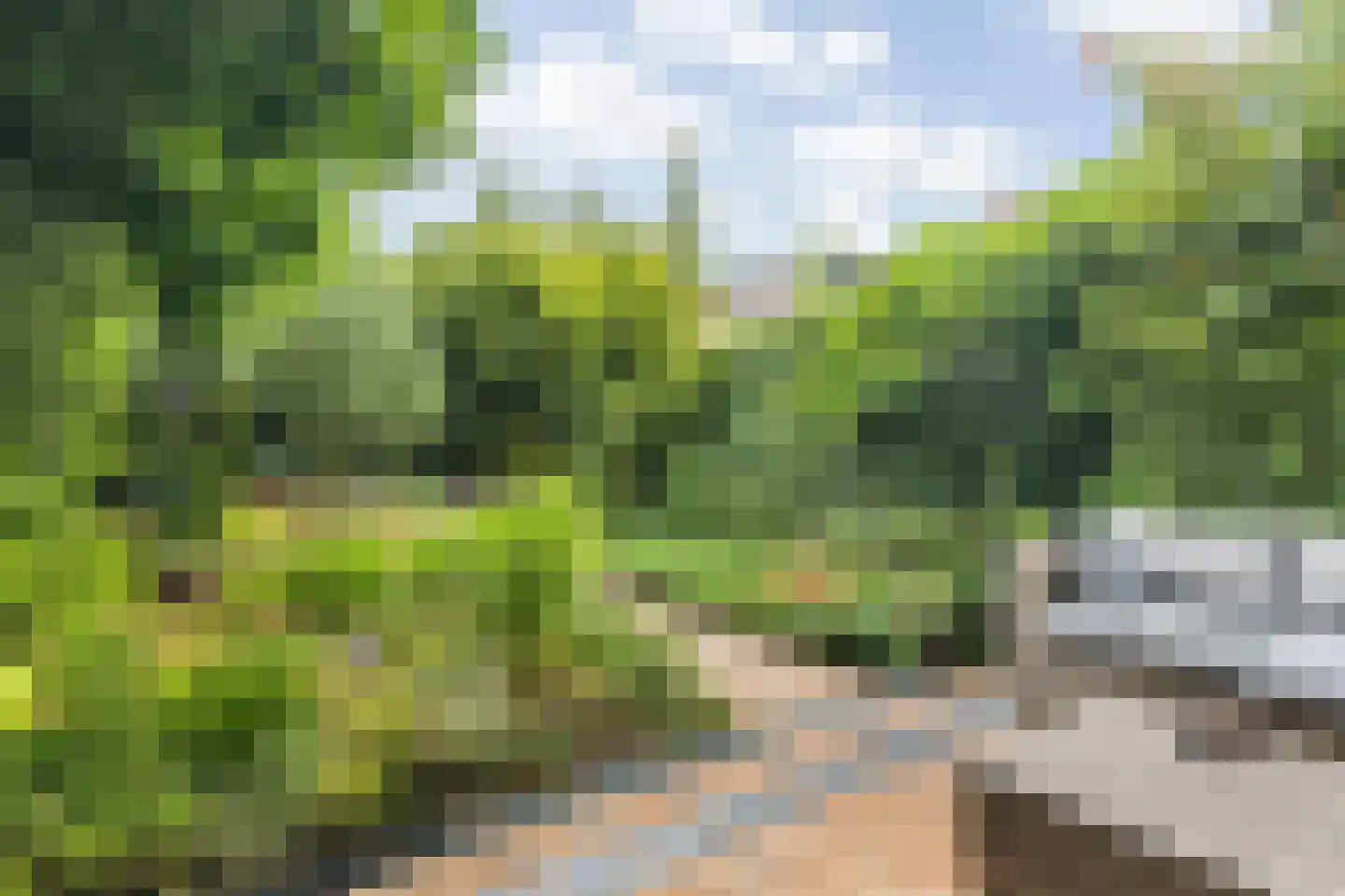 Kleine Huiswei 9 Teteringen thumbnail 37