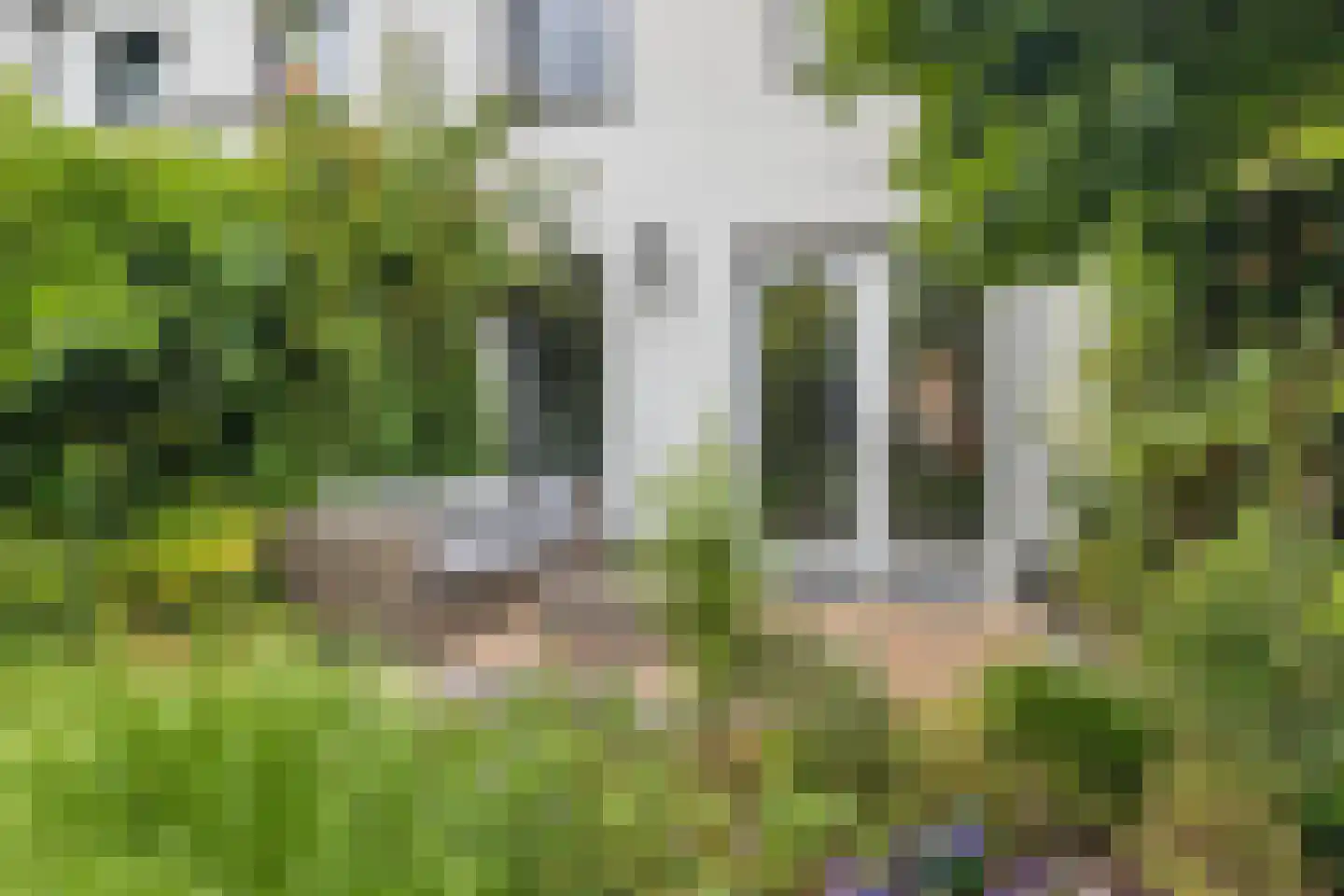 Kleine Huiswei 9 Teteringen thumbnail 39
