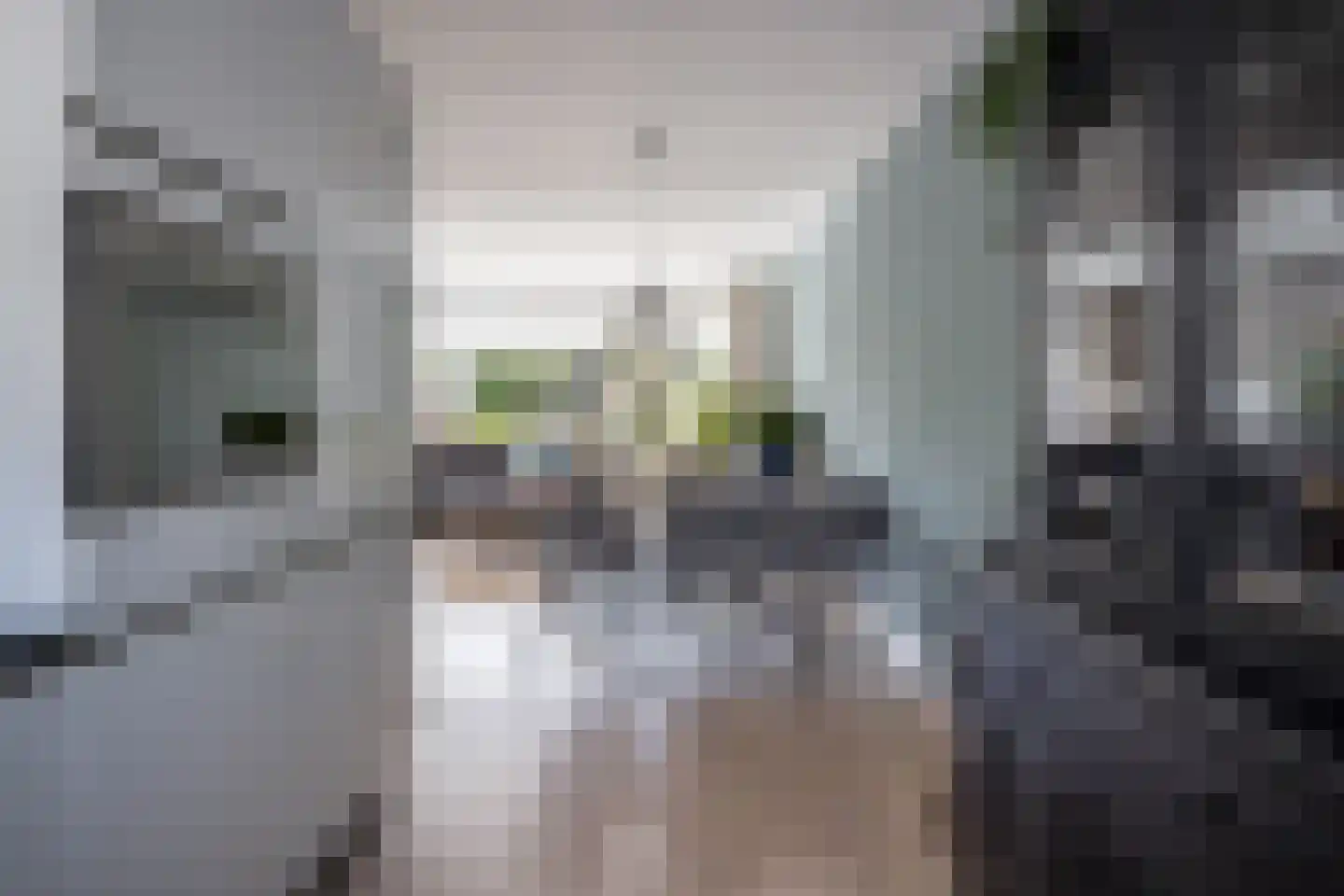 Kleine Immert 18 Hoogkarspel thumbnail 14