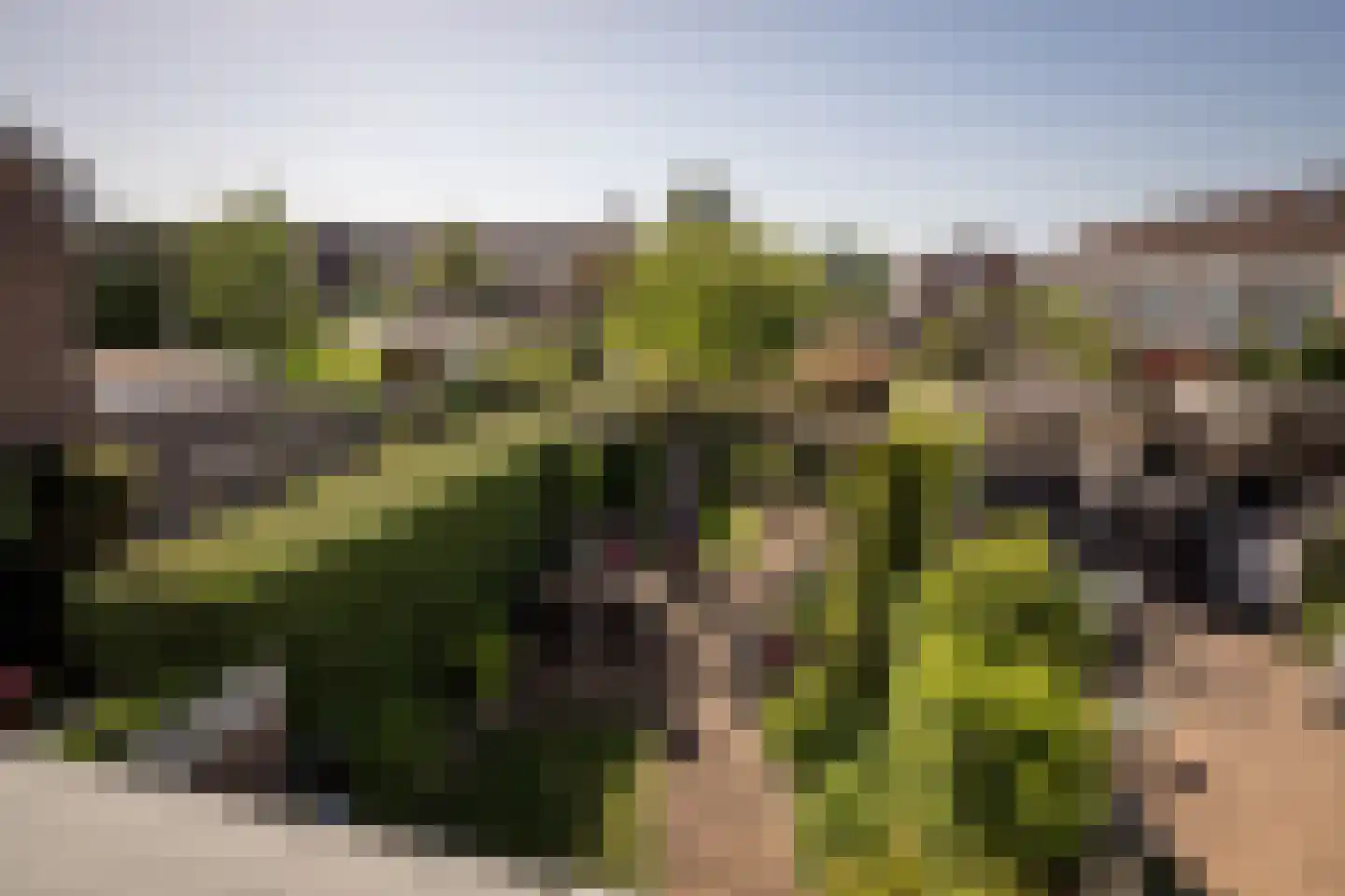 Kleine Immert 18 Hoogkarspel thumbnail 18