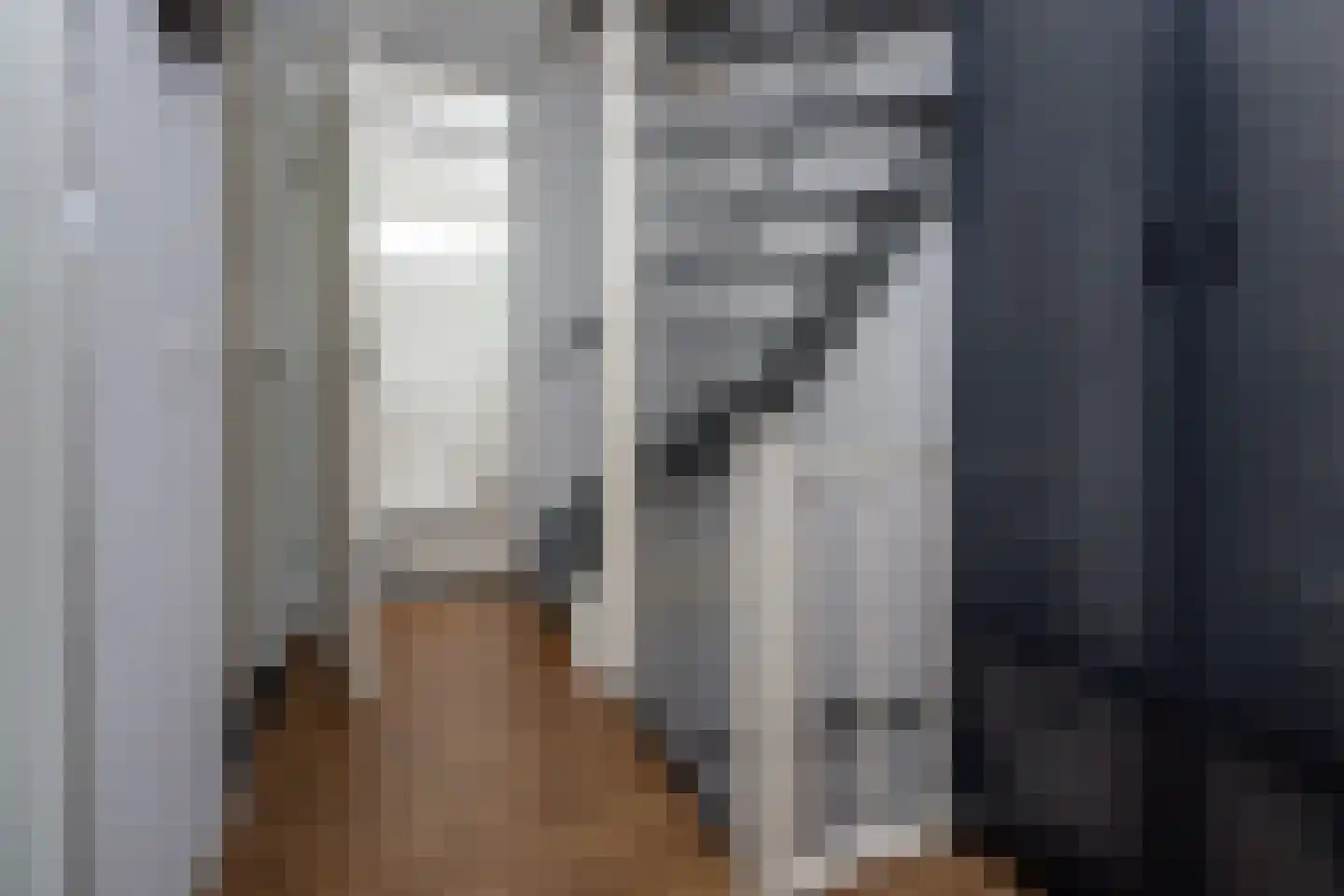 Kleine Immert 18 Hoogkarspel thumbnail 19
