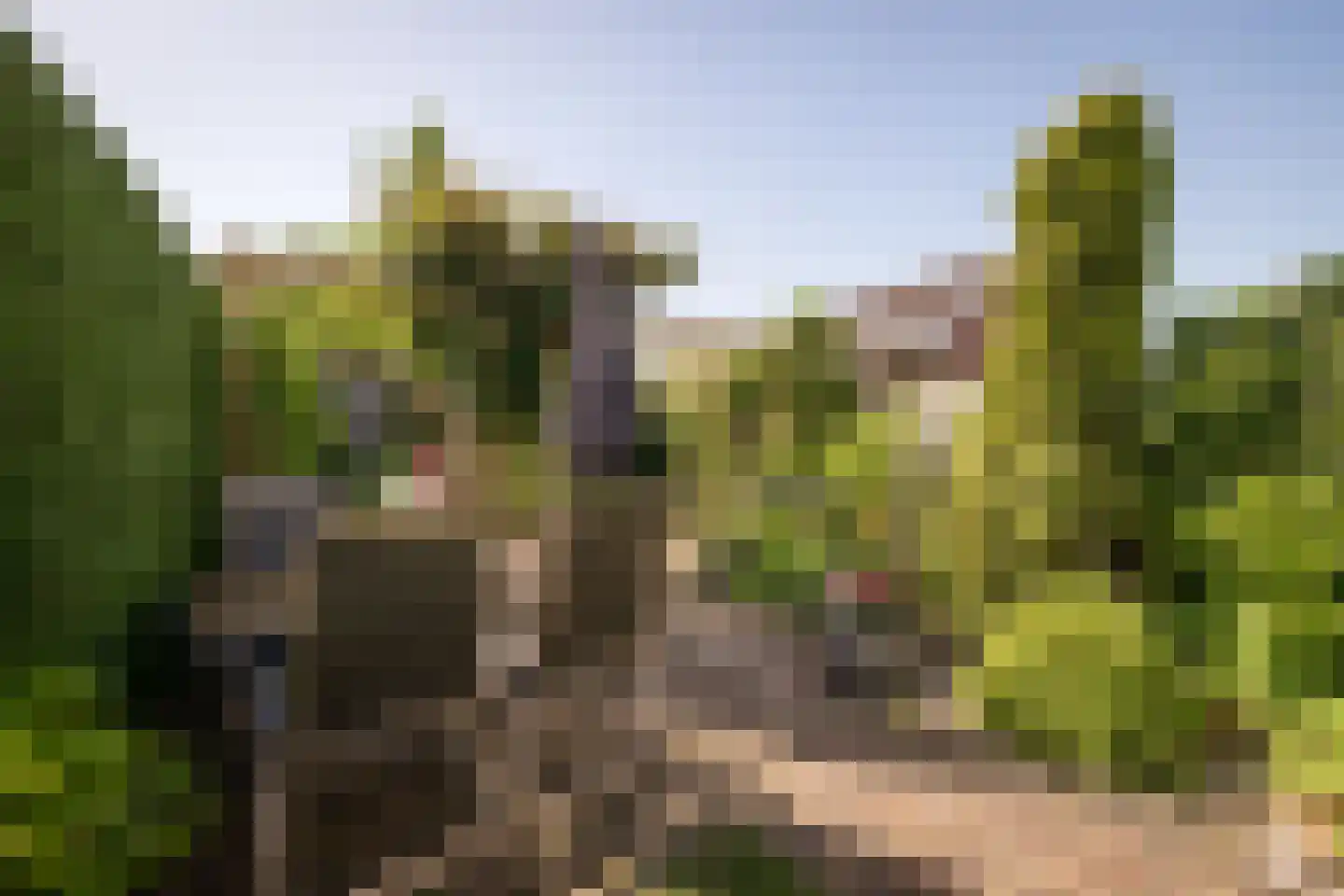Kleine Immert 18 Hoogkarspel thumbnail 29