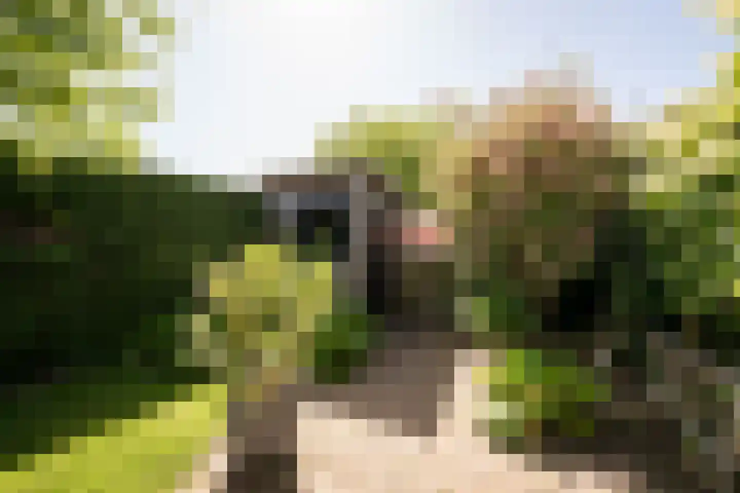 Kleine Immert 18 Hoogkarspel thumbnail 30