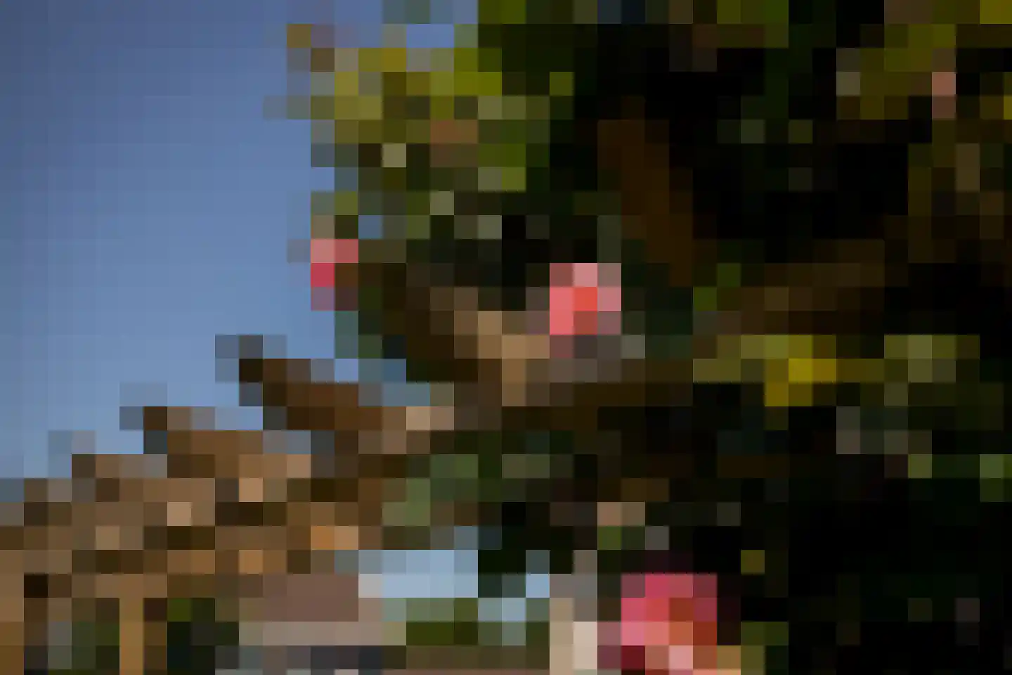Kleine Immert 18 Hoogkarspel thumbnail 36
