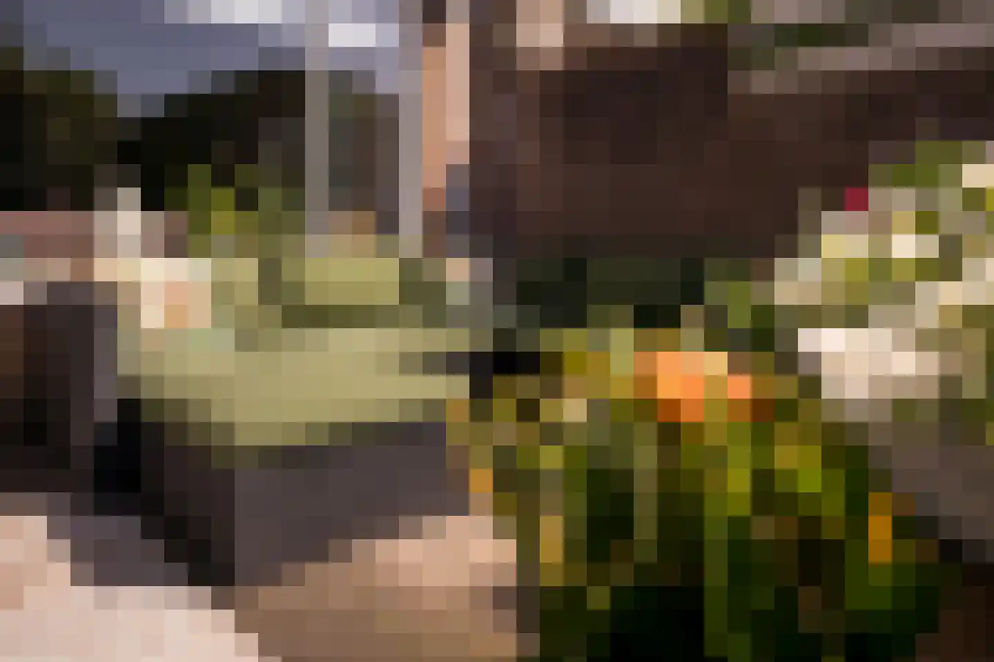 Kleine Immert 18 Hoogkarspel thumbnail 37