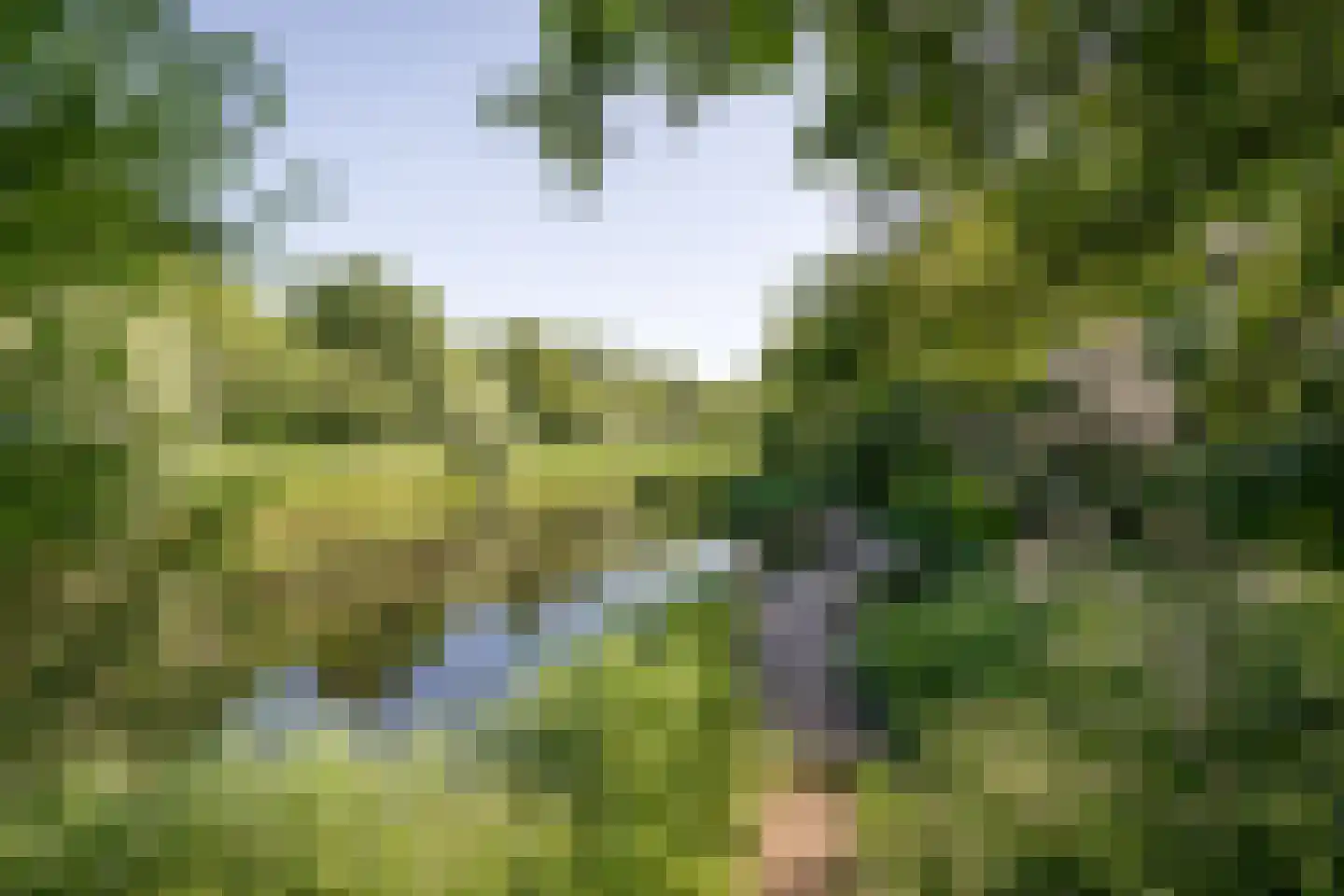 Kleine Immert 18 Hoogkarspel thumbnail 42