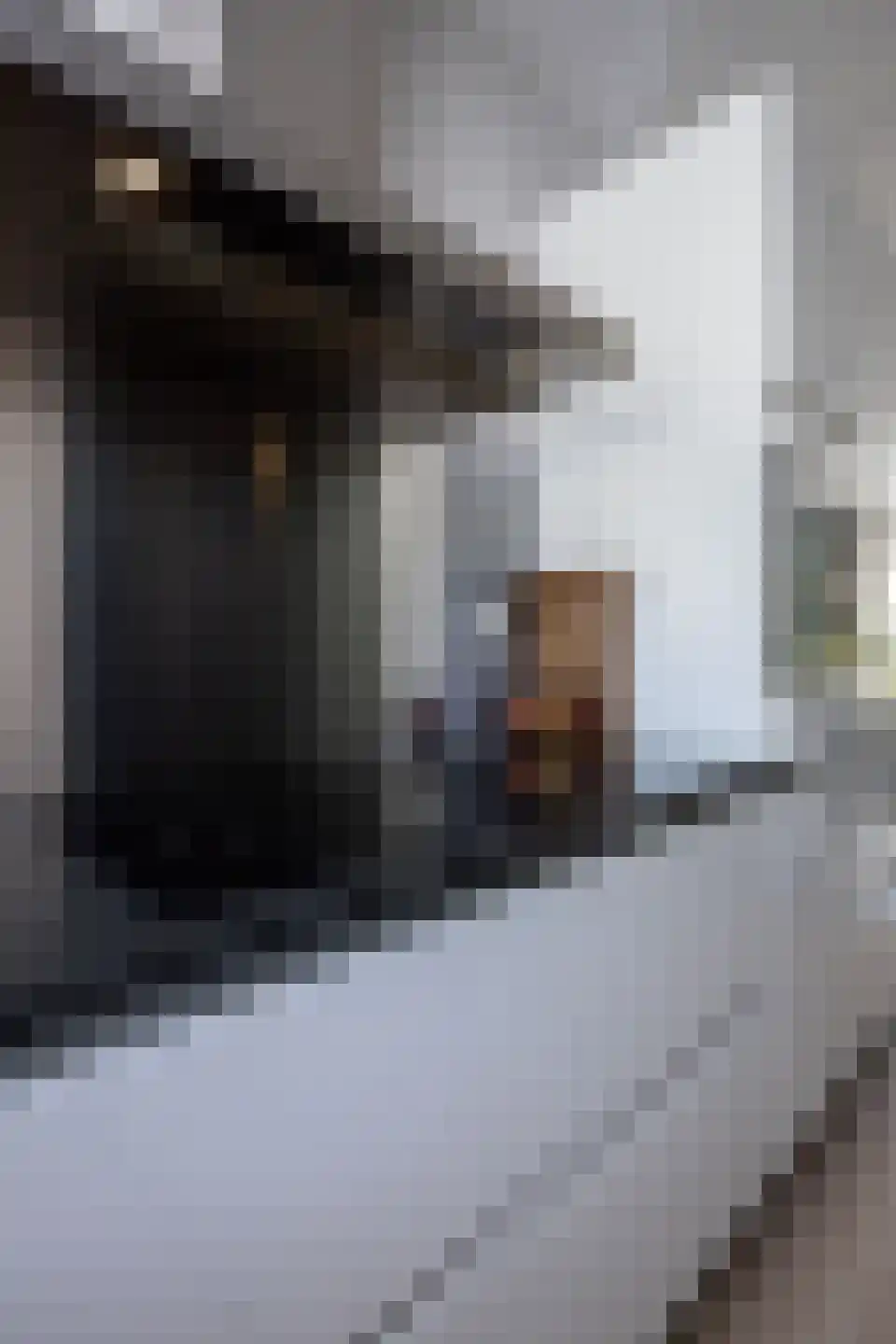 Kleine Immert 18 Hoogkarspel thumbnail 51