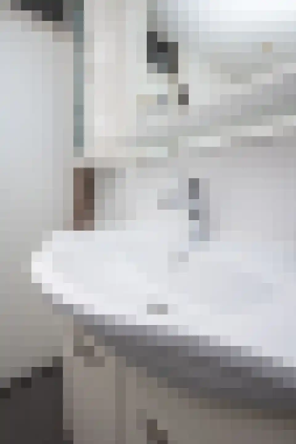 Kleine Immert 18 Hoogkarspel thumbnail 53