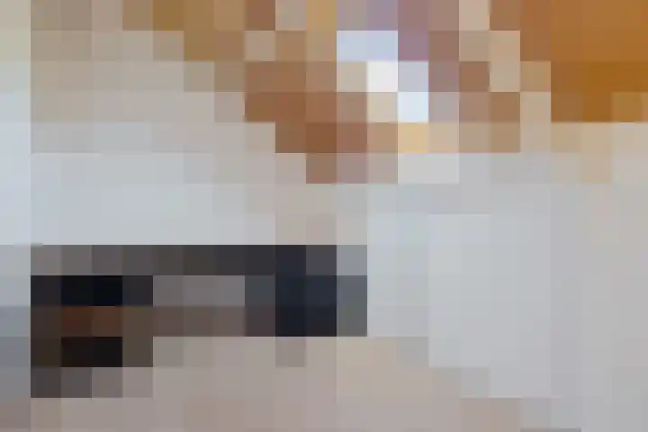 Kleine Immert 22 Hoogkarspel thumbnail 21