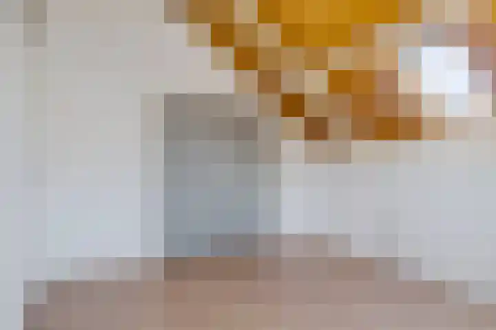 Kleine Immert 22 Hoogkarspel thumbnail 23