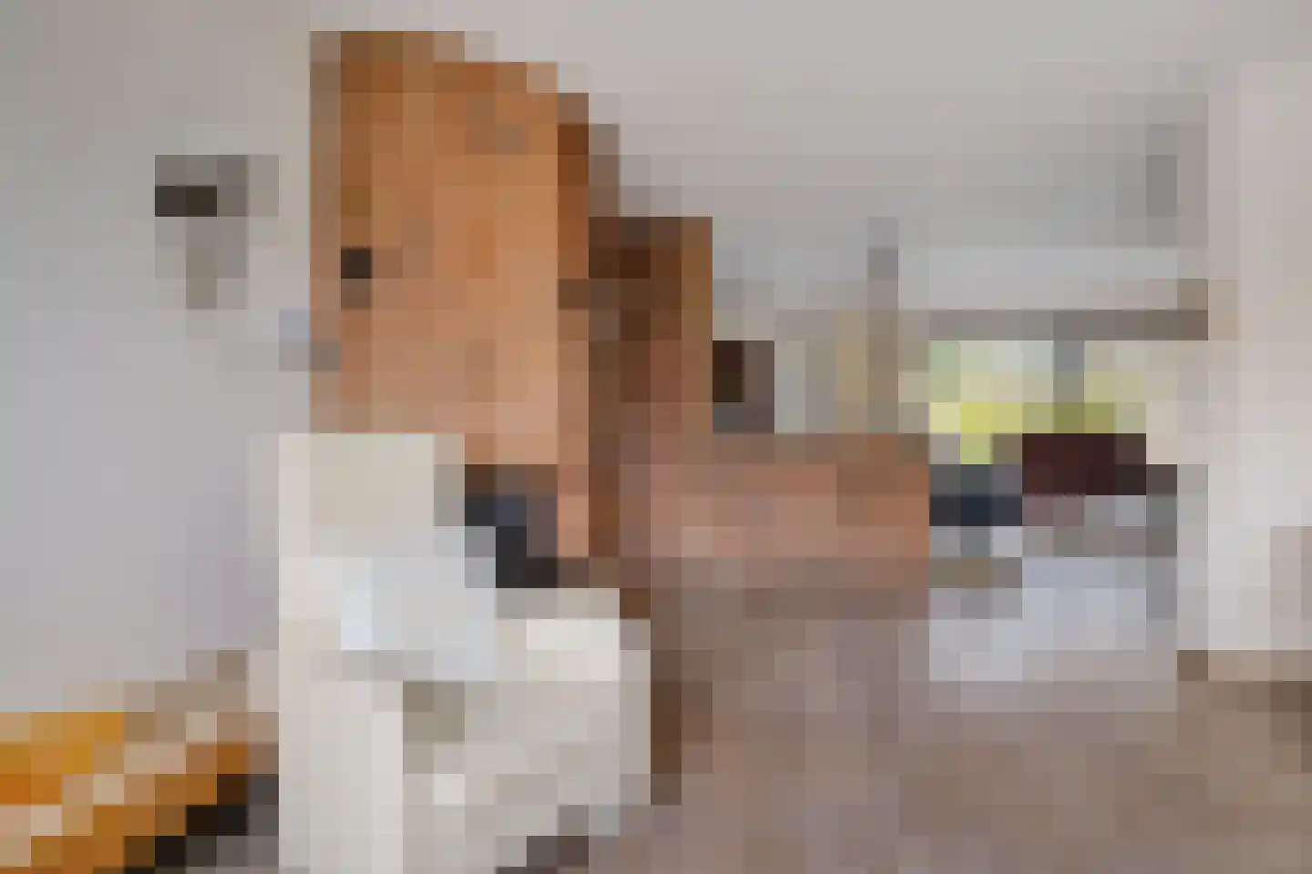 Kleine Immert 35 Hoogkarspel thumbnail 11