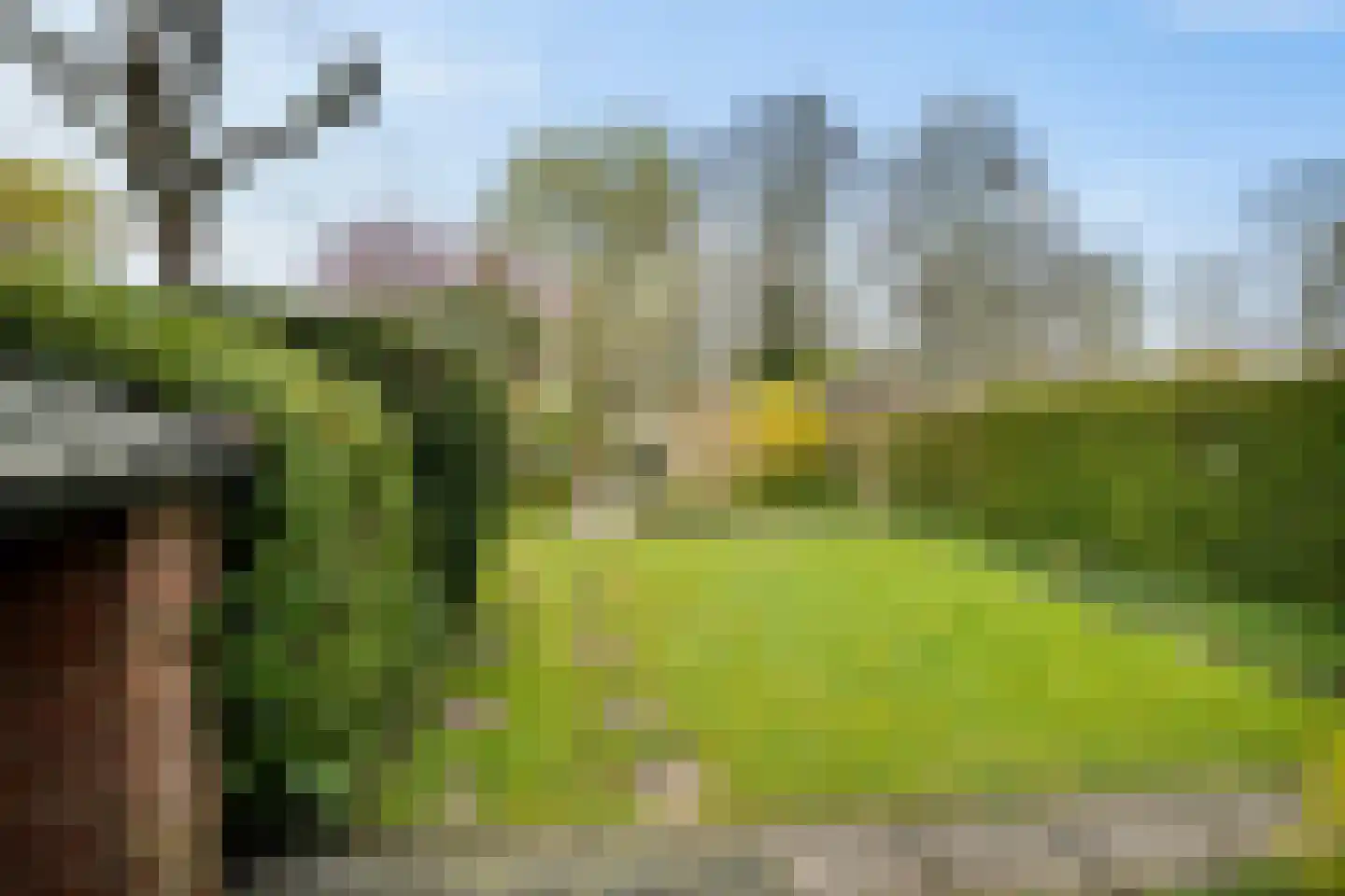 Kleine Immert 35 Hoogkarspel thumbnail 30